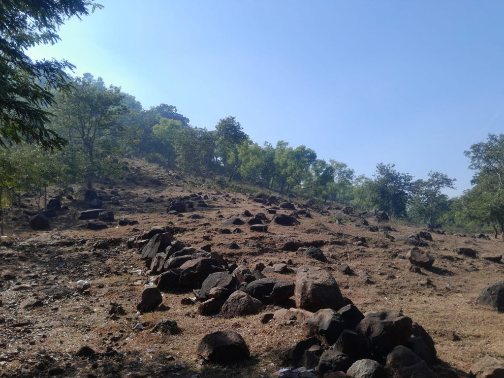 A mountain stands with many trees growing on its slopes. A unique image of the mountain. An attractive photo of the mountain with black and grey stones. The sunlight makes the mountain look bright and beautiful.